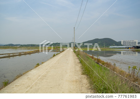 Hojobeol, Siheung-si, Gyeonggi-do 77761983