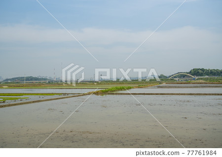 Hojobeol, Siheung-si, Gyeonggi-do 77761984