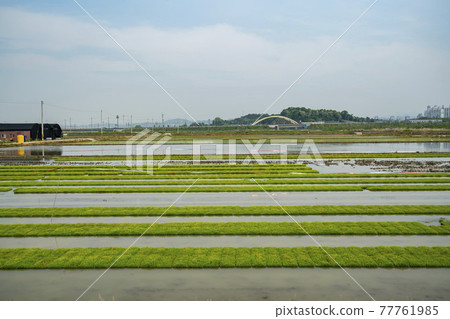 Hojobeol, Siheung-si, Gyeonggi-do Hojobeol, Siheung-si, Gyeonggi-do 77761985