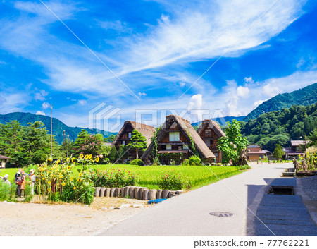 Shirakawago in summer, the original scenery of Japan Shirakawago in summer, the original scenery of Japan 77762221