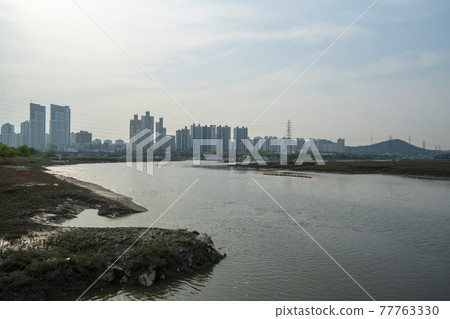 Sorae porpo 77763330