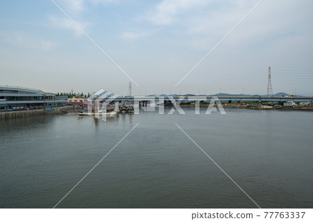 Sorae porpo 77763337