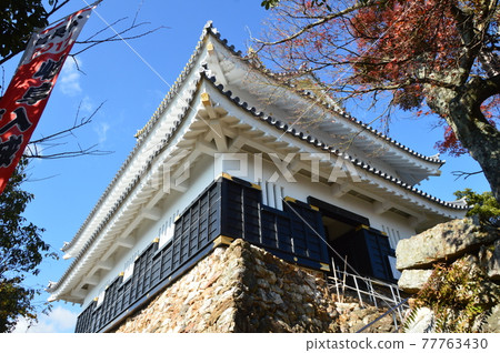 岐阜城堡(岐阜縣岐阜市)的城堡塔 岐阜城堡(岐阜縣岐阜市)的城堡塔 77763430