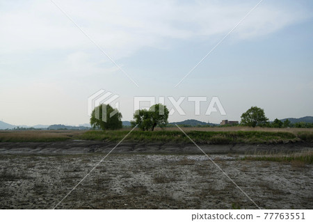 京畿道始興市始興潮汐生態園 京畿道始興市始興潮汐生態園 77763551