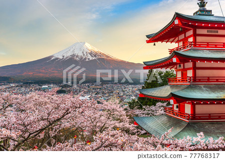 Fujiyoshida, Japan at Chureito Pagoda and Mt. Fuji in the Spring 77768317