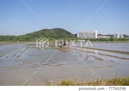 Hojobeol, Siheung-si, Gyeonggi-do Hojobeol, Siheung-si, Gyeonggi-do 77768396