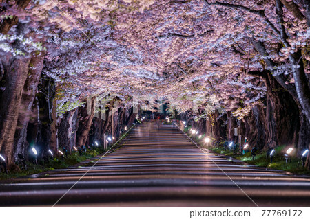 北海道函館市松前藩 Tokirichi 旁 北海道函館市松前藩 Tokirichi 旁 77769172