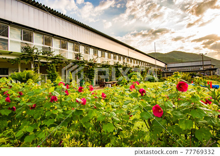 由千葉縣阿波郡慶南町的廢棄小學改建而成的路邊車站和田小學的風景。 77769332
