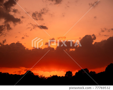 動態日落視圖 77769532