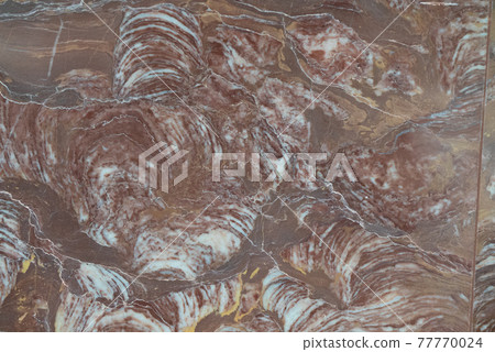 Fossil stromatolite 77770024