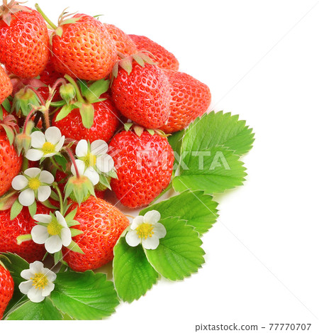juicy strawberries isolated on a white background. juicy strawberries isolated on a white background. 77770707