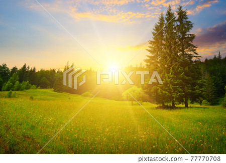 Gorgeous sunrise in Carpathian mountains. Gorgeous sunrise in Carpathian mountains. 77770708