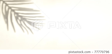 Flowers shadow summer background. Plant leaf shadows on white wall in abstract tropical sunlight texture. Empty palm shadow yellow color texture pattern. 77770796