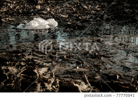 Ecology background. Plastic waste rubbish in forest, woodland. Garbage trash in environment. Empty used dirty bottles. Ecological problem. 77770841