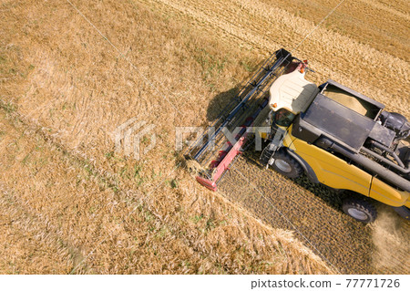 Aerial view of combine harvester harvesting large ripe wheat field. Agriculture from drone view. Aerial view of combine harvester harvesting large ripe wheat field. Agriculture from drone view. 77771726