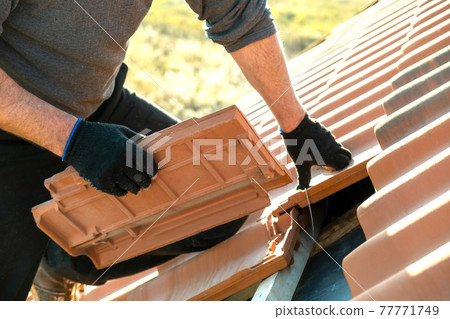 Closeup of worker hands installing yellow ceramic roofing tiles mounted on wooden boards covering residential building roof under construction. Closeup of worker hands installing yellow ceramic roofing tiles mounted on wooden boards covering residential building roof under construction. 77771749