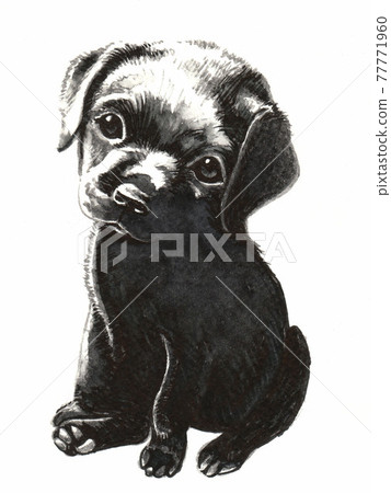 水彩黑色金毛小狗 水彩黑色金毛小狗 77771960