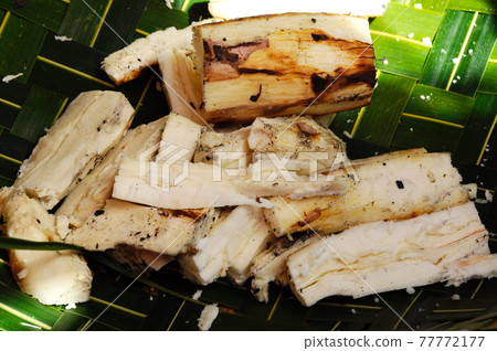 Grill Cassava is one of the old Malay, Malaysian traditional food. The scientific name is known as Manihot Esculenta Crantz. Grill Cassava is one of the old Malay, Malaysian traditional food. The scientific name is known as Manihot Esculenta Crantz. 77772177