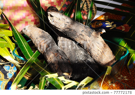 Grill Cassava is one of the old Malay, Malaysian traditional food. The scientific name is known as Manihot Esculenta Crantz. Grill Cassava is one of the old Malay, Malaysian traditional food. The scientific name is known as Manihot Esculenta Crantz. 77772178