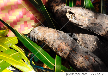 Grill Cassava is one of the old Malay, Malaysian traditional food. The scientific name is known as Manihot Esculenta Crantz.  77772179