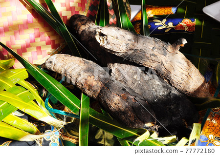 Grill Cassava is one of the old Malay, Malaysian traditional food. The scientific name is known as Manihot Esculenta Crantz.  77772180