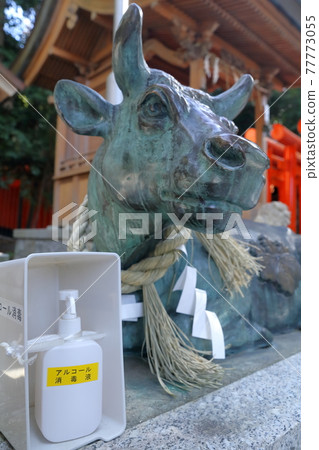 Cow containing spray-type alcohol disinfectant and 57 paulownia trees (Harina Shrine, Nagoya City, Aichi Prefecture) Cow containing spray-type alcohol disinfectant and 57 paulownia trees (Harina Shrine, Nagoya City, Aichi Prefecture) 77773055