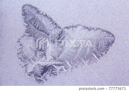 ice patterns on frozen window ice patterns on frozen window 77775671