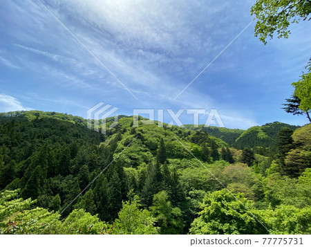Fresh green summer mountain 77775731