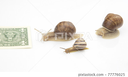 metaphor for achieving financial success in business. snails run on a running track for wealth 77776025