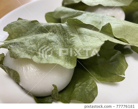 Kashiwa mochi prepared for Children's Day 77776181