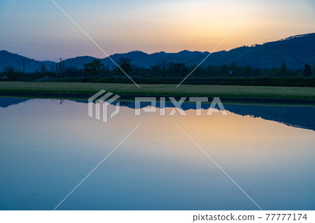 初夏的安曇野市的稻田和水鏡[長野縣] 77777174