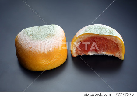 cut the rotting grapefruit on a dark background. cut the rotting grapefruit on a dark background. 77777579