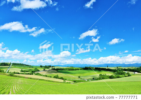 北海道:清新的藍天和美瑛的風景 北海道:清新的藍天和美瑛的風景 77777771