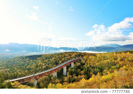 北海道秋天三國ik口和松橋大橋 北海道秋天三國ik口和松橋大橋 77777786