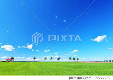 北海道藍天童話小山 77777789