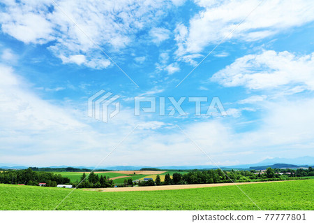 Hokkaido summer blue sky and Biei landscape 77777801