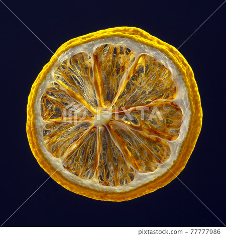 dried lemon slice on a dark background 77777986