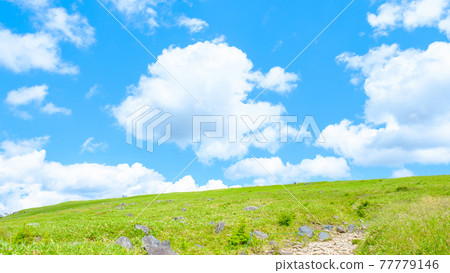 Refreshing plateau scenery (summer) 77779146