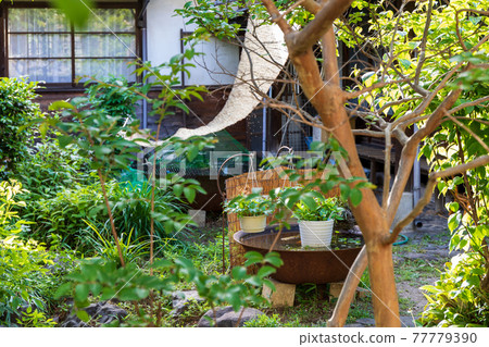 日式私家花園、植物、鐵池、竹百葉窗、玻璃窗 77779390