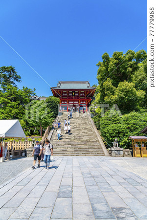 [Kanagawa] Kamakura: The main shrine and Oishi steps of Tsuruoka Hachimangu Shrine 77779968