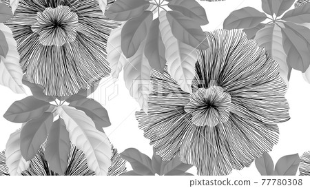 Tropical seamless pattern,  black and white flowers and umbrella tree 77780308