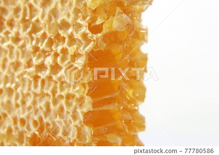 honeycomb closeup on white background 77780586