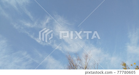 流雲 流雲 77780605
