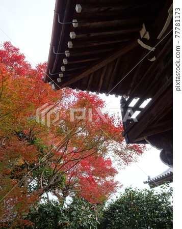 Genko-an over the autumn leaves in Kyoto Genko-an over the autumn leaves in Kyoto 77781173