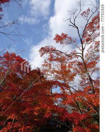 Josho-ji Temple over the autumn leaves in Kyoto Josho-ji Temple over the autumn leaves in Kyoto 77781926