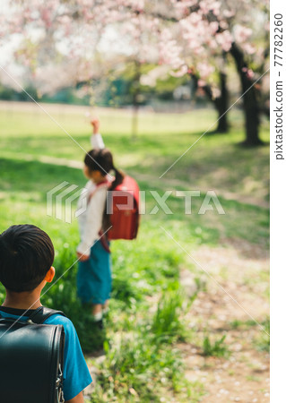 1st grade elementary school student 1st grade elementary school student 77782260