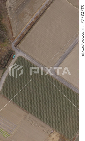 Farmland (Osato-gun, Saitama Prefecture Yoriicho) Farmland (Osato-gun, Saitama Prefecture Yoriicho) 77782780