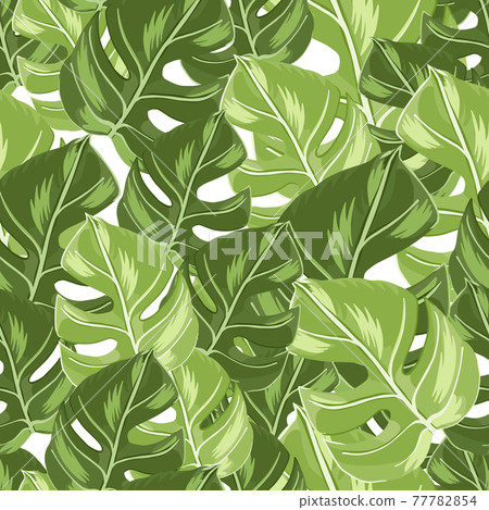 Scrapbook seamless pattern with random doodle green monstera leaf silhouettes. White background. Simple style. Scrapbook seamless pattern with random doodle green monstera leaf silhouettes. White background. Simple style. 77782854