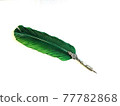 Green quill Green quill 77782868