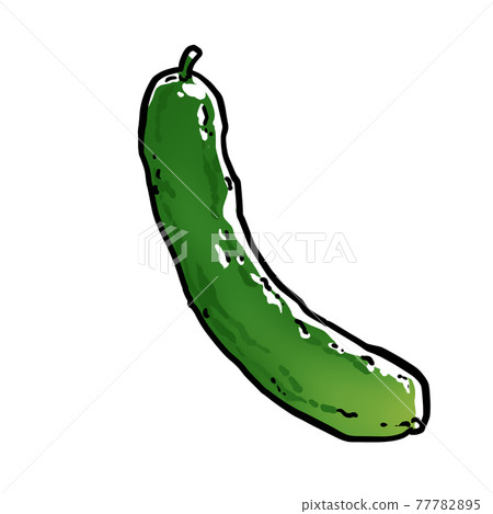Realistic cucumber illustration 77782895